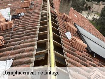 Remplacement de faitage
