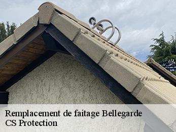 Remplacement de faitage 30127