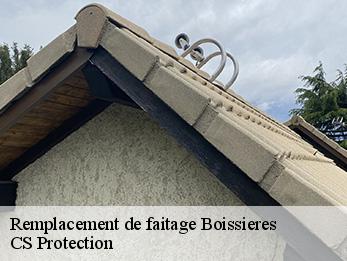 Remplacement de faitage  30114