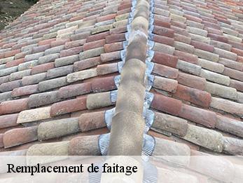 Remplacement de faitage 30740