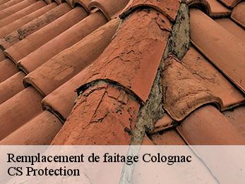 Remplacement de faitage colognac-30460 CS Protection