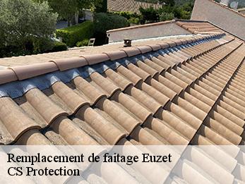 Remplacement de faitage