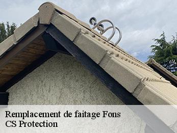 Remplacement de faitage 30730
