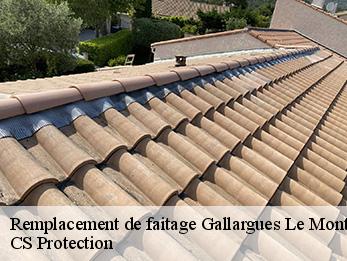 Remplacement de faitage