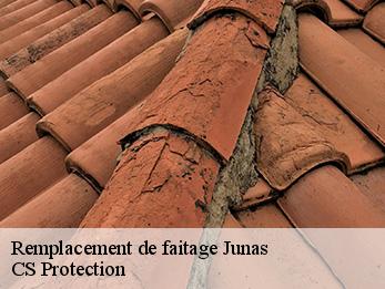 Remplacement de faitage junas-30250 CS Protection