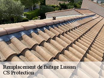 Remplacement de faitage