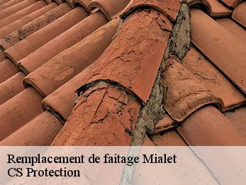 Remplacement de faitage  mialet-30140 CS Protection
