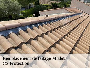 Remplacement de faitage