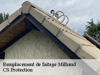 Remplacement de faitage  30540
