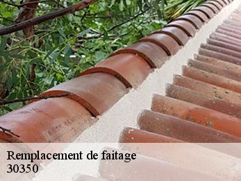 Remplacement de faitage 30350