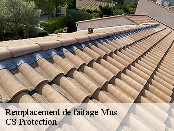 Remplacement de faitage