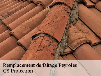 Remplacement de faitage  peyroles-30124 CS Protection