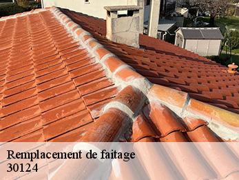 Remplacement de faitage