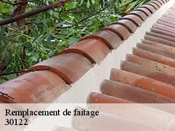 Remplacement de faitage 30122