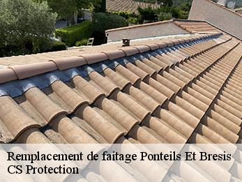 Remplacement de faitage