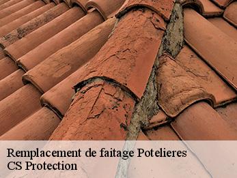 Remplacement de faitage potelieres-30500 CS Protection