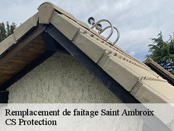 Remplacement de faitage 30500