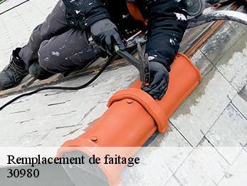 Remplacement de faitage 30980
