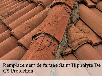 Remplacement de faitage saint-hippolyte-de-caton-30360 CS Protection