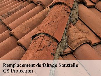 Remplacement de faitage  soustelle-30110 CS Protection