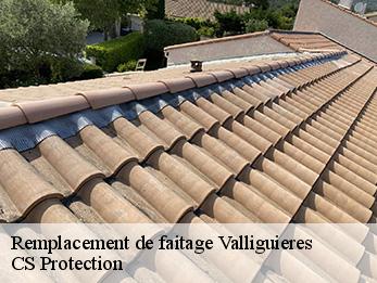 Remplacement de faitage