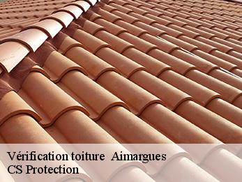 Vérification toiture   30470