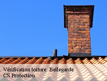 Vérification toiture   bellegarde-30127 CS Protection