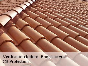 Vérification toiture 30260