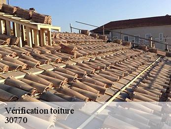 Vérification toiture   30770