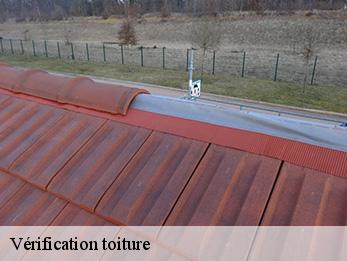 Vérification toiture