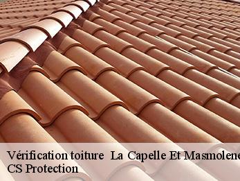 Vérification toiture 30700