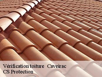 Vérification toiture 30820