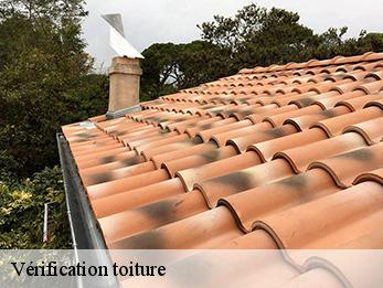 Vérification toiture   30660