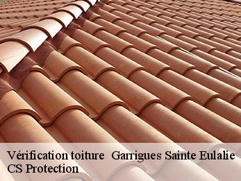 Vérification toiture 30190