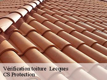 Vérification toiture 30250