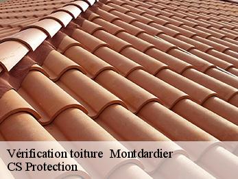 Vérification toiture 30120