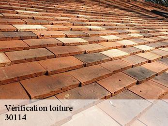 Vérification toiture