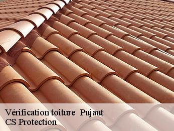 Vérification toiture 30131