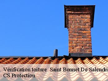 Vérification toiture   saint-bonnet-de-salendrinque-30460 CS Protection