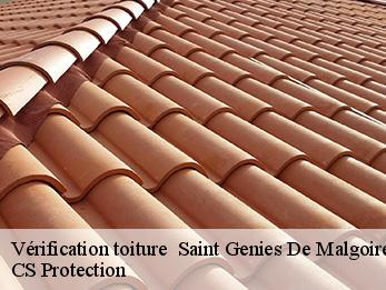 Vérification toiture   30190