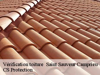 Vérification toiture   30750