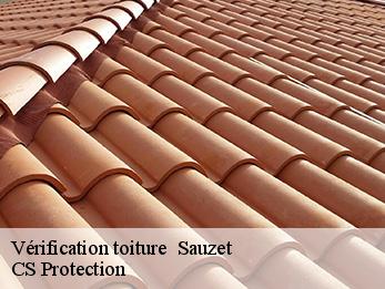 Vérification toiture 30190