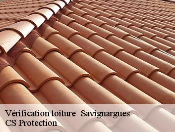 Vérification toiture   30350