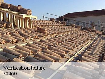 Vérification toiture 30460