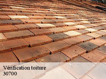 Vérification toiture