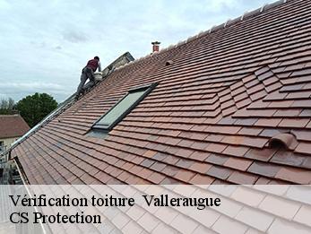 Vérification toiture 