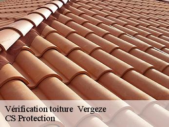 Vérification toiture   30310