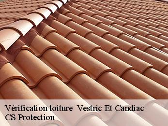 Vérification toiture   30600