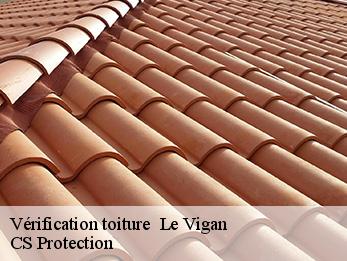 Vérification toiture 30120