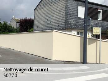Nettoyage de muret  30770